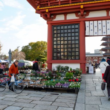 Marché aux antiquités de Shitenno-ji (Osaka), stand de fleurs