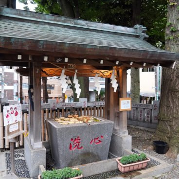 Koenji Hikawa-jinja (Tokyo), pavillons aux ablutions Temizuya