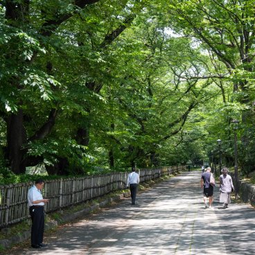 Château de Nagoya, allée du parc en été