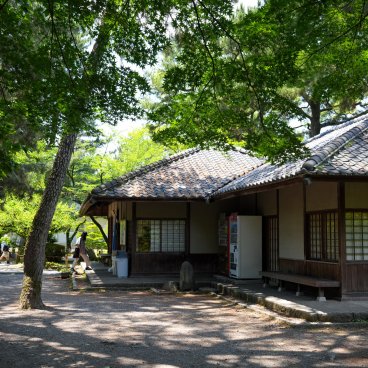 Château de Nagoya, parc en été