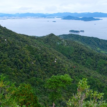 Mont Misen (Miyajima), Vue sur la forêt primaire, la Mer Intérieure de Seto et Hiroshima depuis l'observatoire Shishi-Iwa