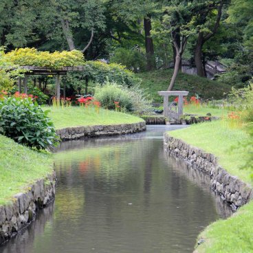 Koishikawa Korakuen (Tokyo), lycoris rouges par touches au bord de l'eau