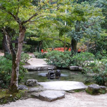 Iwaso (Miyajima), Bassin du petit jardin japonais devant l'entrée du ryokan