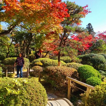 Nikko, couleurs d'automne au temple Rinno-ji début novembre