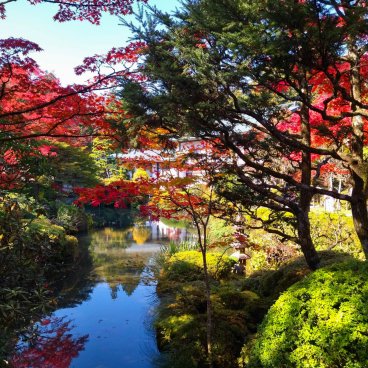 Nikko, couleurs d'automne au temple Rinno-ji début novembre 2