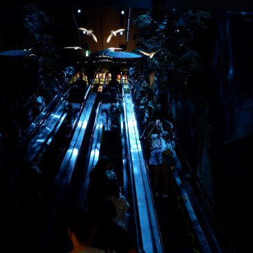 Harry Potter Shop Harajuku (Tokyo), escalator de la boutique officielle