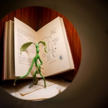 Harry Potter Shop Harajuku (Tokyo), exposition autour de l'univers du sorcier