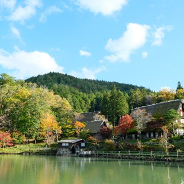 Hida no Sato (Takayama), Vue d'ensemble sur le village traditionnel et son étang en automne