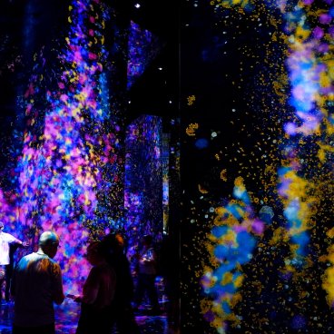 teamLab Biovortex Kyoto, Flowers and People, Cannot be Controlled but Live Together