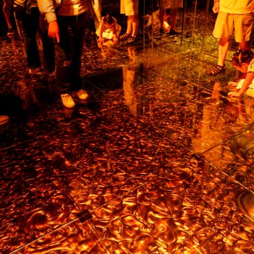 teamLab Biovortex Kyoto, Transient Abstract Life and Return 2