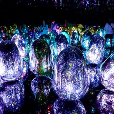 teamLab Biovortex Kyoto, Resonating Microcosms - Solidified Light