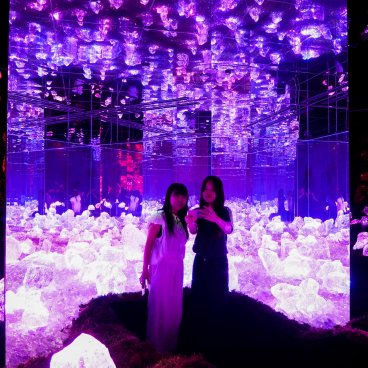 teamLab Biovortex Kyoto, Sea of Solidified Light