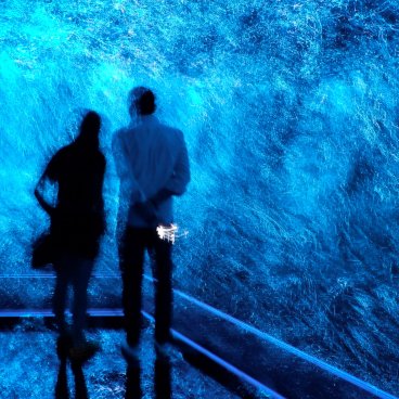 teamLab Biovortex Kyoto, Strata of Traces