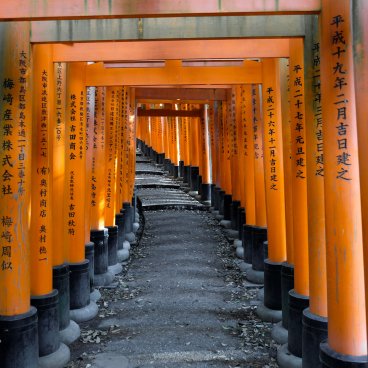 Kyoto, tunnel de Torii du sanctuaire Fushimi Inari Taisha