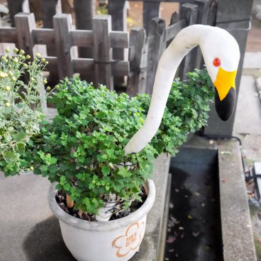 Komagome Tenso-jinja (Tokyo), Décorations devant le pavillon principal