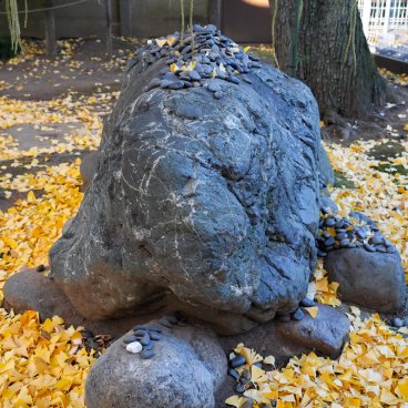 Komagome Tenso-jinja (Tokyo), Rocher-tortue Kame-ishi