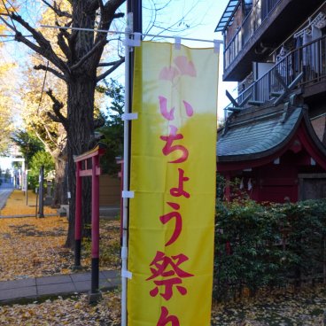 Komagome Tenso-jinja (Tokyo), Bannière pour Icho Matsuri
