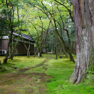 Nata-dera (Ishikawa), Vue sur le jardin du temple