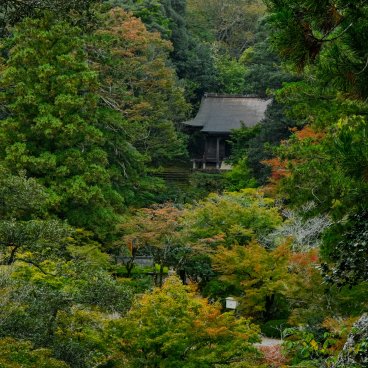 Nata-dera (Ishikawa), Vue sur l'enceinte du temple au début de l'automne