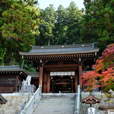 Takayama (Alpes Japonaises), sanctuaire Sakurayama Hachiman-gu à l'automne