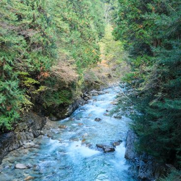 Vallée de Kiso (Alpes japonaises), vue sur la rivière Kiso au début de l'automne