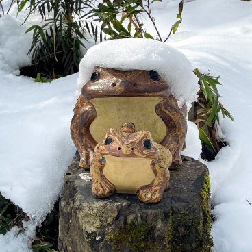 Ginkaku-ji (Kyoto), Pavillon d'Argent sous la neige en hiver 4