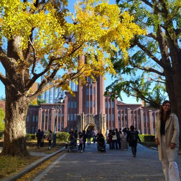 Todai (université de Tokyo), auditorium Yasuda et feuillage doré des ginkgos de mi-novembre à début décembre
