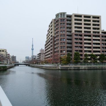 Oyoko-gawa (Tokyo), balade au bord de l'eau et vue sur la Tokyo Skytree entre les ponts Inohori-bashi et Kikuyanagi-bashi 