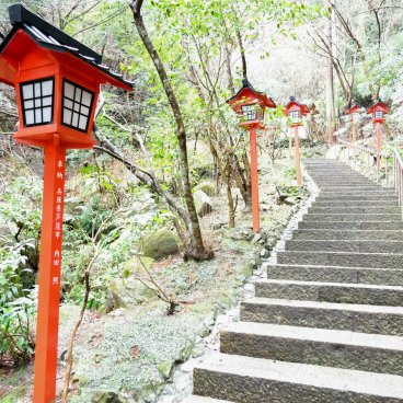 Nanzo-in (Sasaguri, Fukuoka), escalier dans la forêt du sanctuaire Nanten Inari-jinja