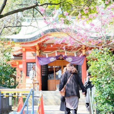 Parc Shiba (Tokyo), sanctuaire Shiba Toshogu