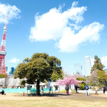 Parc Shiba (Tokyo), panorama depuis les pelouses avec vue sur Tokyo Tower et Zojo-ji