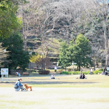 Parc Shiba (Tokyo), grandes pelouses à la fin de l'hiver et Shiba Maruyama Kofun en arrière-plan