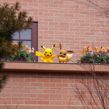 PokéPark Kanto (Tokyo), Pikachu et Evoli sur un toit de Bourg-les-Joncs