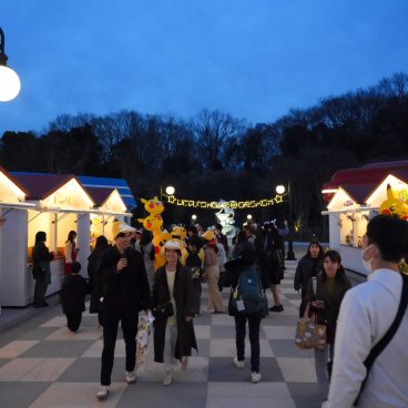 PokéPark Kanto (Tokyo), Vue nocturne du marché des dresseurs Pokémon à Bourg-les-Joncs