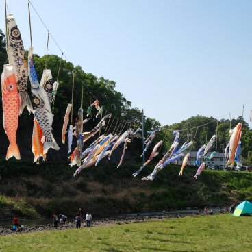 Golden Week au Japon, guirlandes de carpes Koinobori au-dessus d'une rivière à Matsue (Shimane) 2