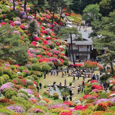 Golden Week au Japon, foule pour la floraison des azalées au temple Shiofune Kannon-ji à Ome (Tokyo) 2