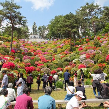 Golden Week au Japon, foule pour la floraison des azalées au temple Shiofune Kannon-ji à Ome (Tokyo) 3