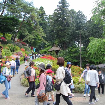 Golden Week au Japon, foule pour la floraison des azalées au temple Shiofune Kannon-ji à Ome (Tokyo)