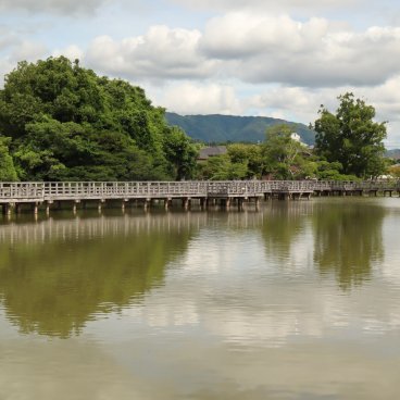 Nagaokakyo (Kyoto), Plan d'eau Hachijogaoka au sanctuaire Nagaoka Tenmangu