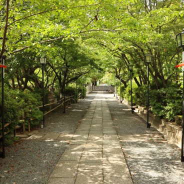 Nagaokakyo (Kyoto), Allée du sanctuaire Nagaoka Tenmangu 2