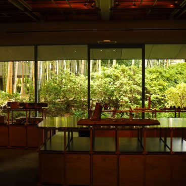 Nagaokakyo (Kyoto), Vue sur le jardin de bambous de la boutique Shop & Gallery Chikubuen 