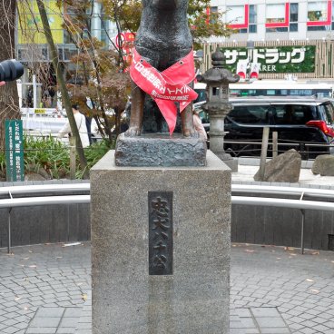 Statue du chien fidèle Hachiko à Shibuya (Tokyo) à l'automne