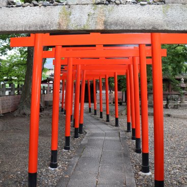 Toyokuni-jinja (Kyoto), Tunnel de torii dans l'enceinte du sanctuaire