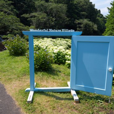 Festival des hortensias de la vallée Akigawa (Tokyo), spot photo au parc Wonderful Nature Village Ajisai 