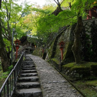 Arashiyama (Kyoto), escalier en pierre sous les érables verts