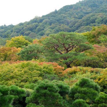 Arashiyama (Kyoto), vue sur les montagnes depuis la villa Okochi Sanso