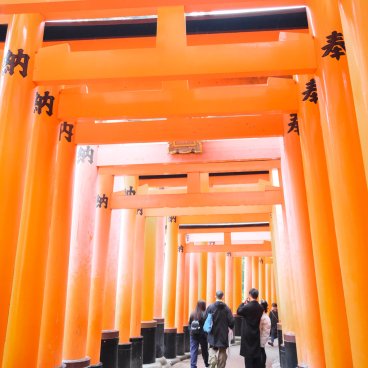 Fushimi Inari Taisha à Kyoto, Tunnel de Torii sans marche