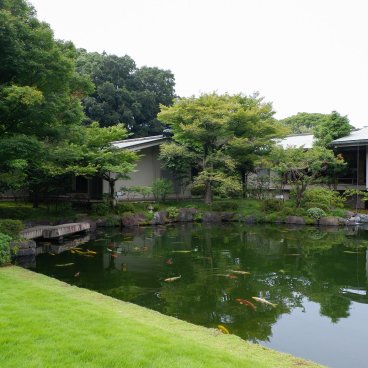 Palais d'Akasaka (Tokyo), Etang à carpes dans le jardin japonais