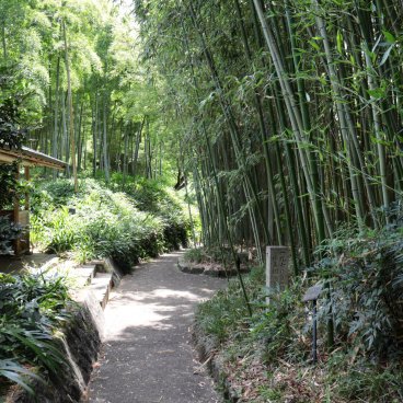 Take no Michi (Muko), Pavillon le long du chemin avec vue sur la forêt de bambous