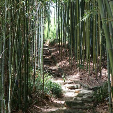 Take no Michi (Muko), Escalier de pierre dans la forêt de bambous